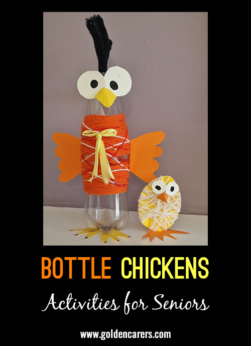We had fun making chickens out of old drinks bottles and some old string!
