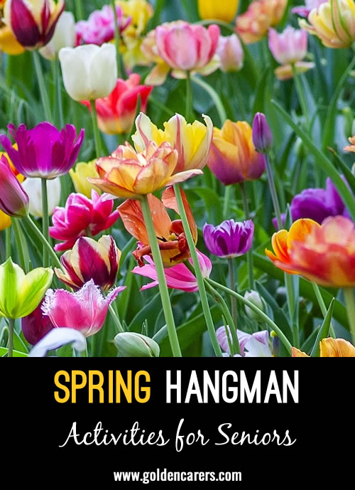Here is a Spring-themed hangman with interesting clues!