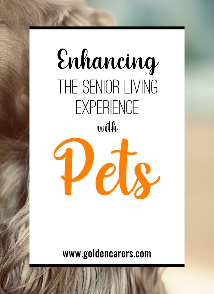 Pets provide companionship and emotional support to seniors, reducing feelings of loneliness and isolation.