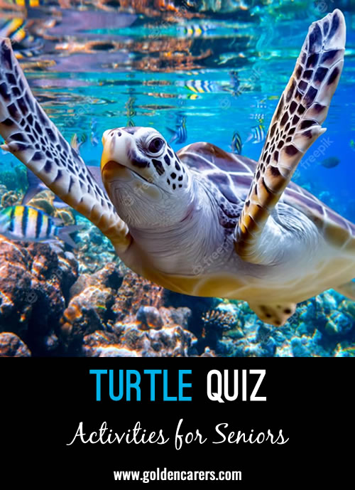 Here is a quiz about turtles with some interesting points for discussion.