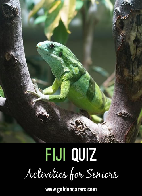 20 Question about Fiji!