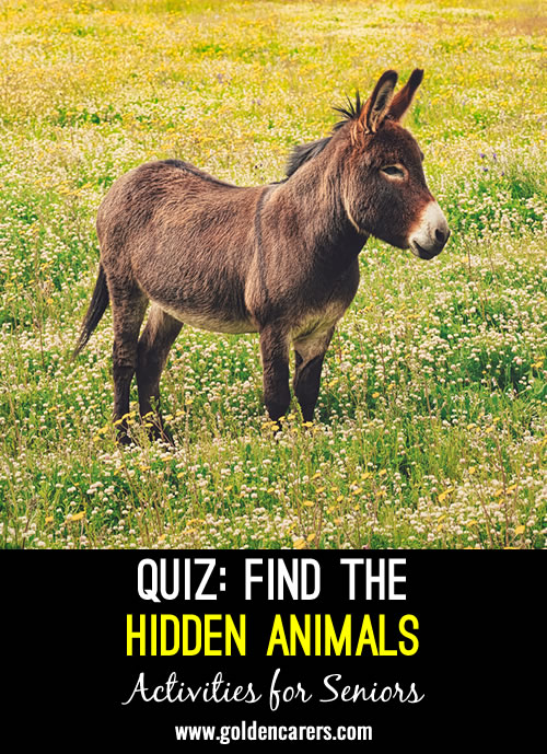 Find the hidden animals in this quiz! She enjoyed a pear --- Answer: Ape