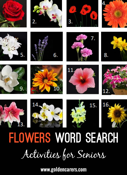 Correctly identify the pictured flowers and then find them in the word search!