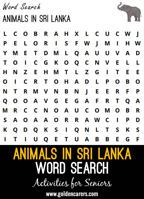 A Sri Lankan-themed word search to enjoy!