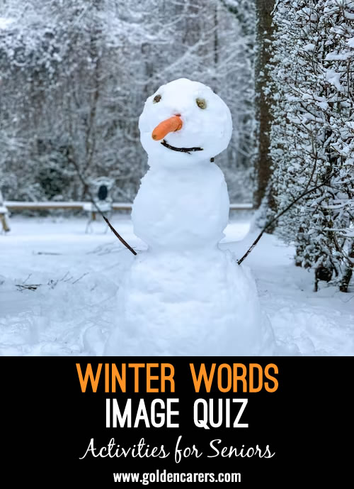 Remembering Words and Activities- Winter Version