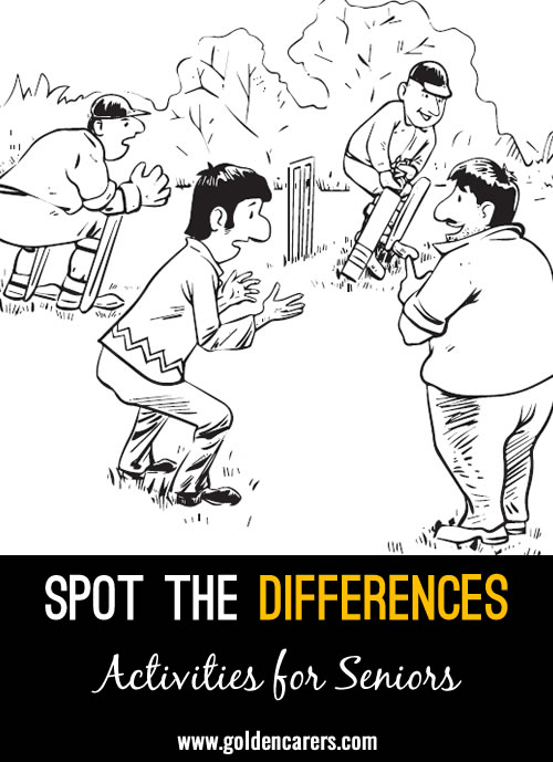 Cricket: Another fun spot-the-differences activity for seniors!