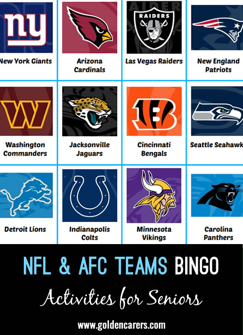 Here is an NFL & AFC Teams-themed bingo game to enjoy!
