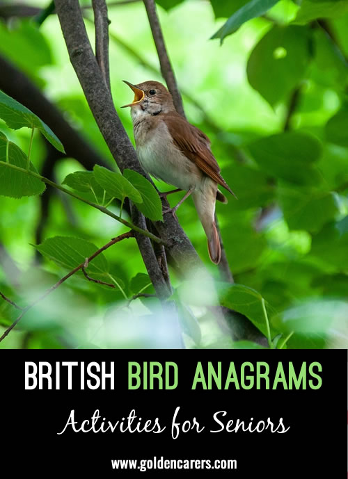 A simple anagram quiz of birds found in our garden!