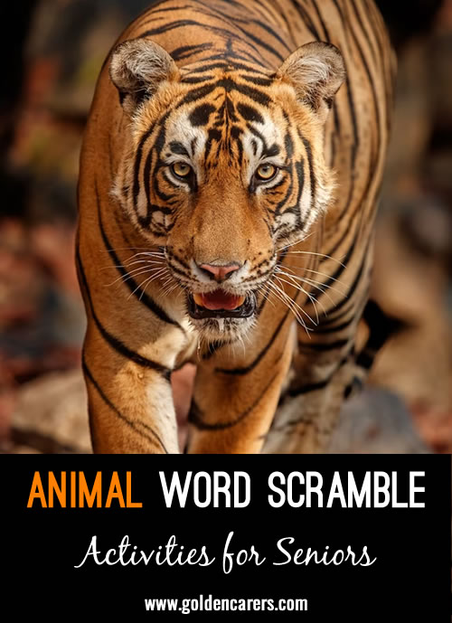 Unscramble the letters to reveal the names of various animals in this word scramble activity!