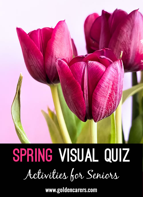 Here is a spring visual quiz suitable for memory care.