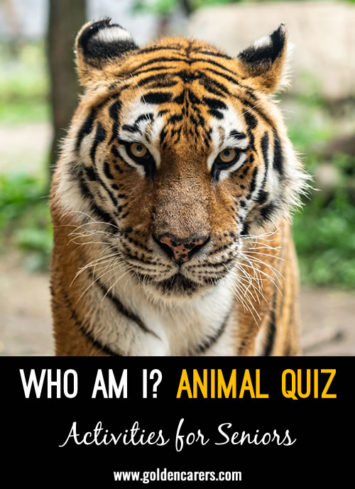 Guess the animal described in this Who Am I activity!