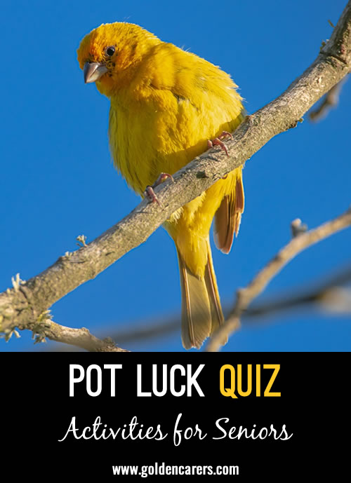 Here is another pot luck quiz to enjoy!