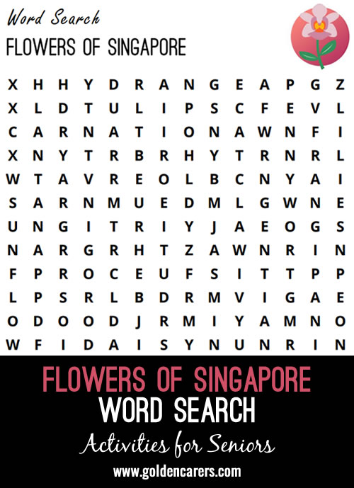 A Singapore-themed word search to enjoy!