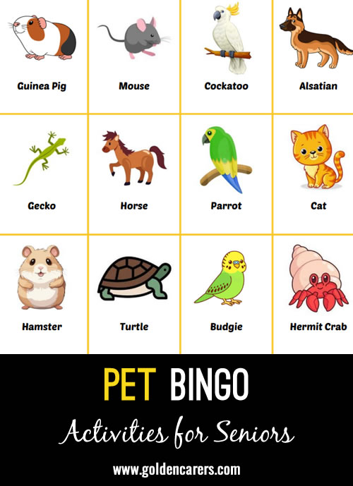 A pets-themed bingo game!