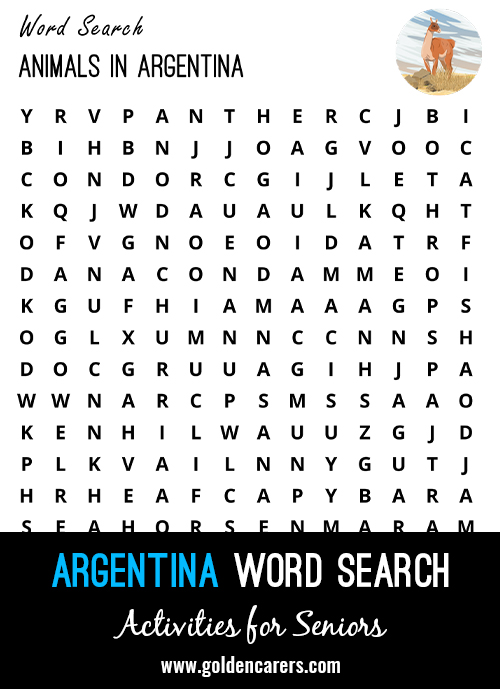 An Argentinian-themed word search to enjoy!
