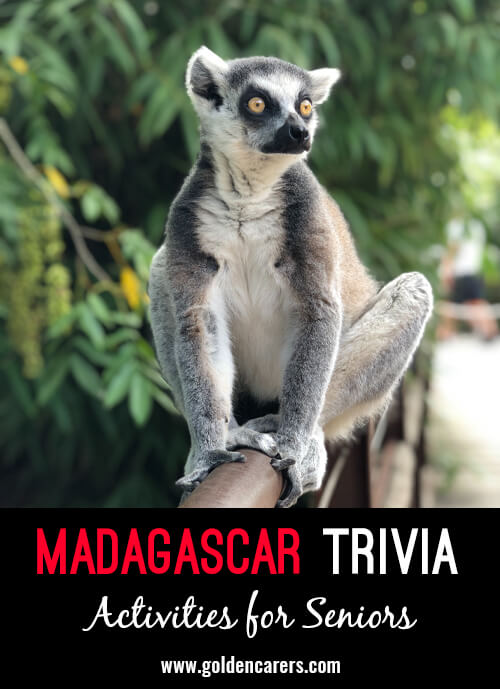 Here are some fascinating tidbits of Madagascar trivia!