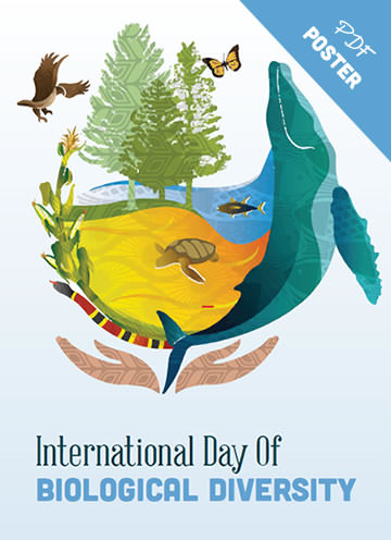Printable Biological Diversity Poster.
