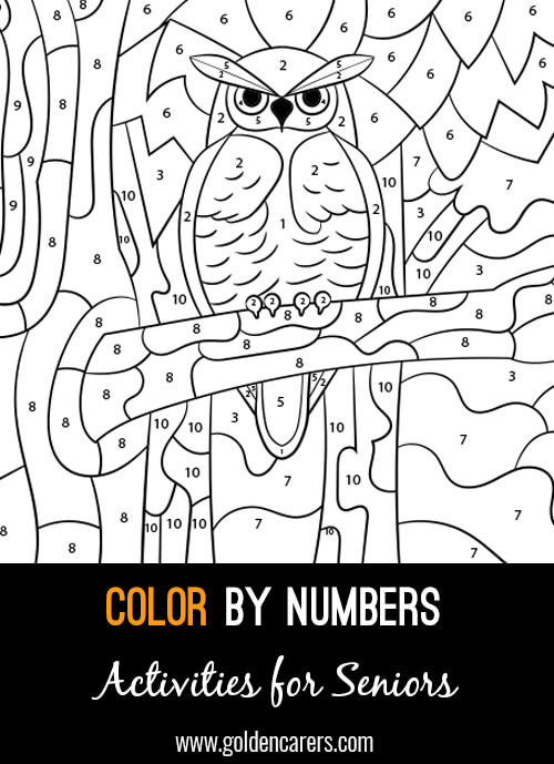 A color by number Owl activity to enjoy! Use the key provided to color each number and discover the completed image. 