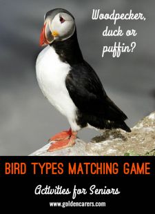 Bird Types Matching Game