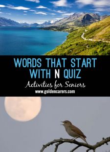 Words starting with N Quiz