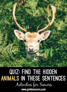 Find the Hidden Animals in These Sentences Quiz