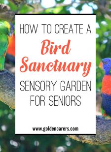 How to Create a Bird Sanctuary Sensory Garden for Seniors