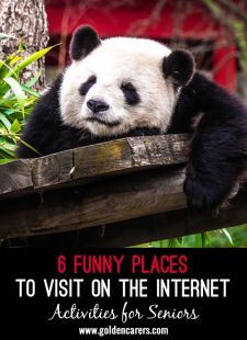 6 Funny Places to Visit on the Internet