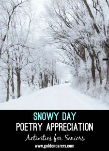 Snowy Day Poetry Appreciation