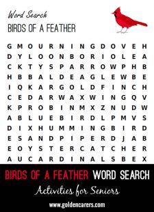Birds of a Feather Word Search