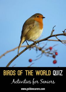 Birds of the World Quiz II