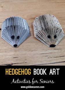 Hedgehog Book Art