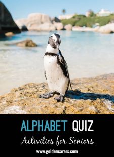 Alphabet Quiz #2