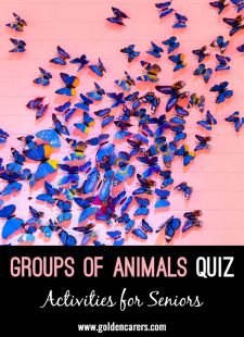 Animal Group Names Quiz