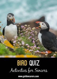 Bird Quiz 2