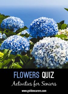 Flowers Quiz #2