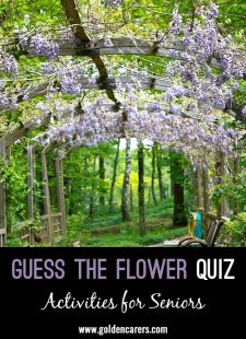 Guess the Flower Quiz