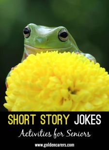 Short Story Jokes #15