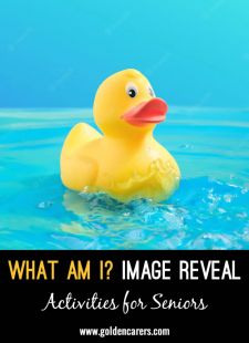 What Am I? Image Reveal