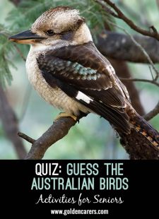 Guess the Australian Birds Quiz