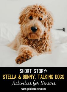 Short Story: Stella and Bunny, the Talking Dogs