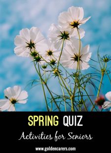 Spring Quiz
