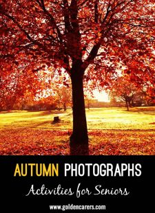 Autumn Photographs