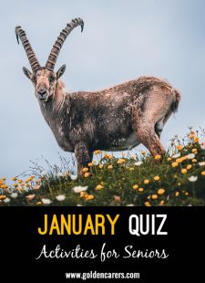 January Quiz