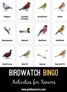 Birdwatch Bingo