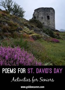 Poems for Saint David's Day