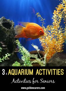 3 Aquarium Activities