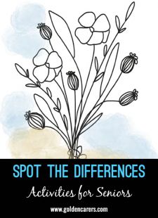 Spot the Differences - Flowers