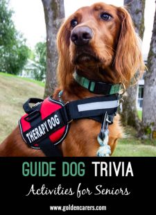 8 Snippets of Guide Dog Trivia