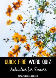 Quick Fire Word Quiz