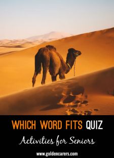 Which Word Fits Quiz